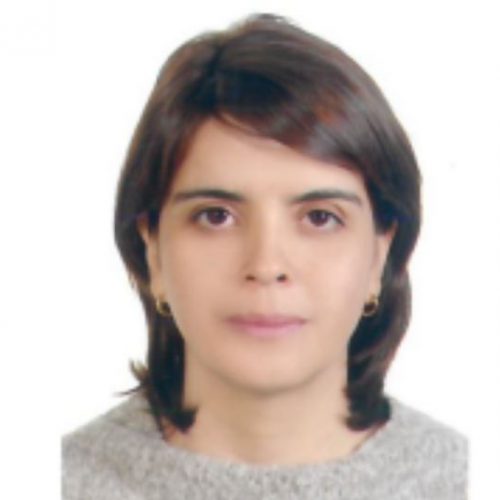 Marcela Martínez Peláez