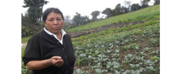 Imagen Noticia